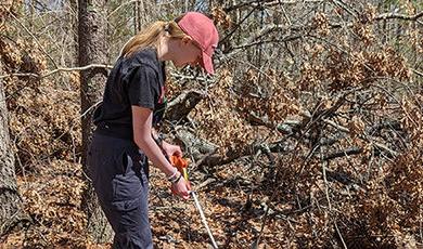 Grace Leopold uses a measuring tape while placing clay salamanders in the woods.